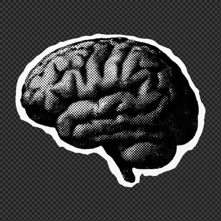 Illustration of a human brain